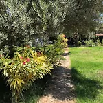 My Lodge Mesudiye (Datca)