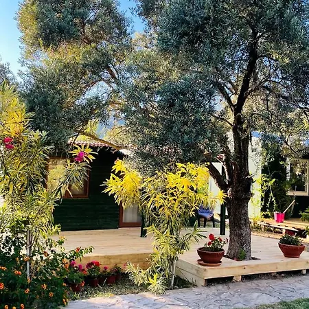 My Alojamento de Turismo Selvagem *