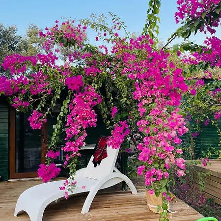 My Lodge Mesudiye (Datca)