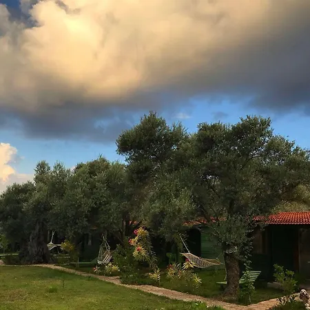 My ميسوديه