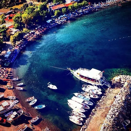 My Alojamento de Turismo Selvagem