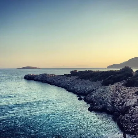 My ميسوديه