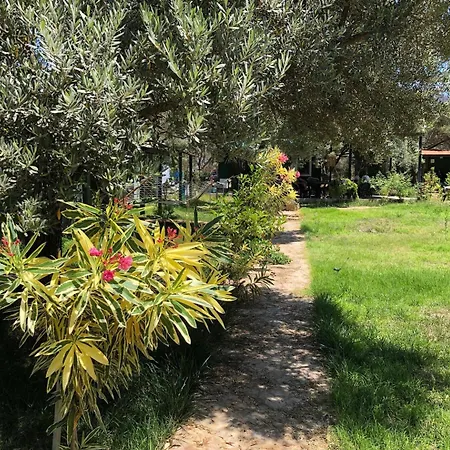 My ロッジ Mesudiye