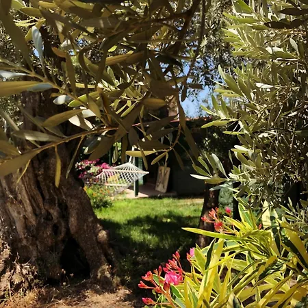 My Alojamento de Turismo Selvagem