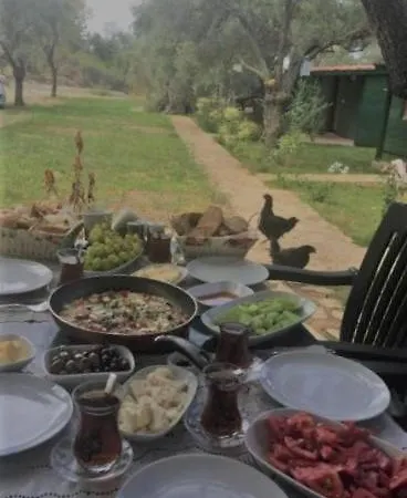 My Lodge *