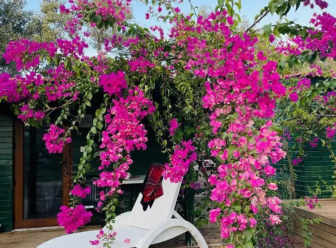 My Orman Evi Mesudiye (Datca)