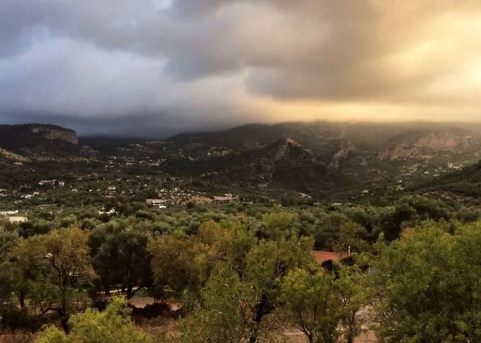 My Orman Evi Mesudiye (Datca)