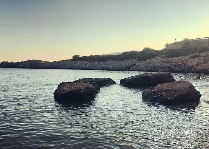 My Orman Evi Mesudiye (Datca)