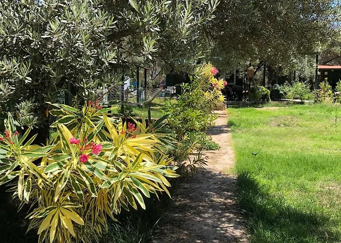 My Orman Evi Mesudiye (Datca)