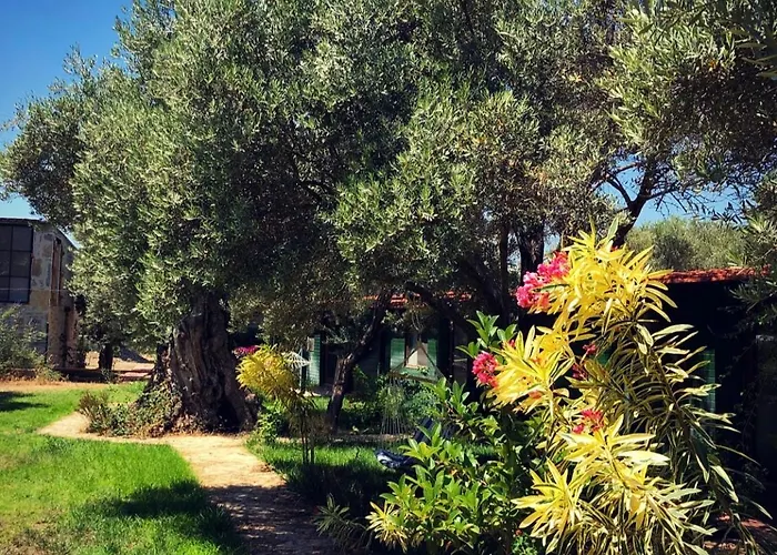 My * Mesudiye (Datca)